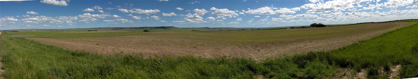 farm pan